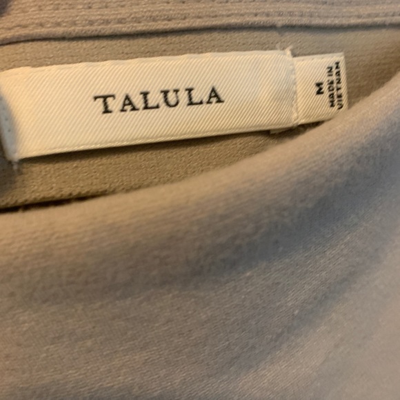 Aritzia Talula/ Sunday Best Primrose Skirt - Picture 3 of 3